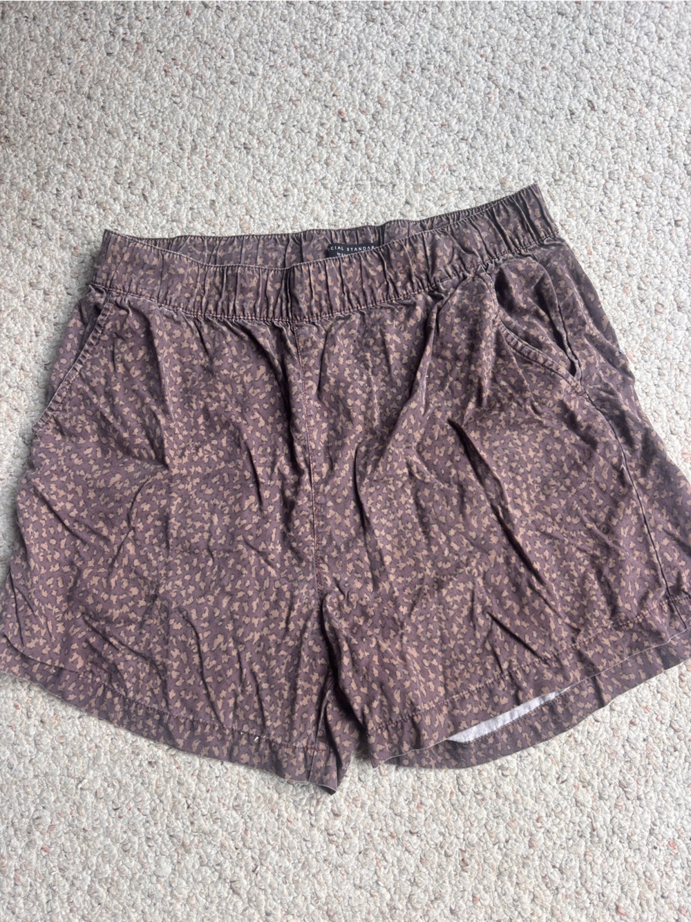 Social Standard by Sanctuary Shorts